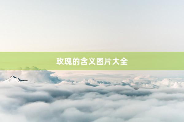 玫瑰的含义图片大全
